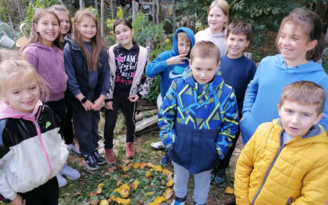 MEĐUNARODNI PROJEKT: DANI JABUKA, DANI ZDRAVE HRANE 5