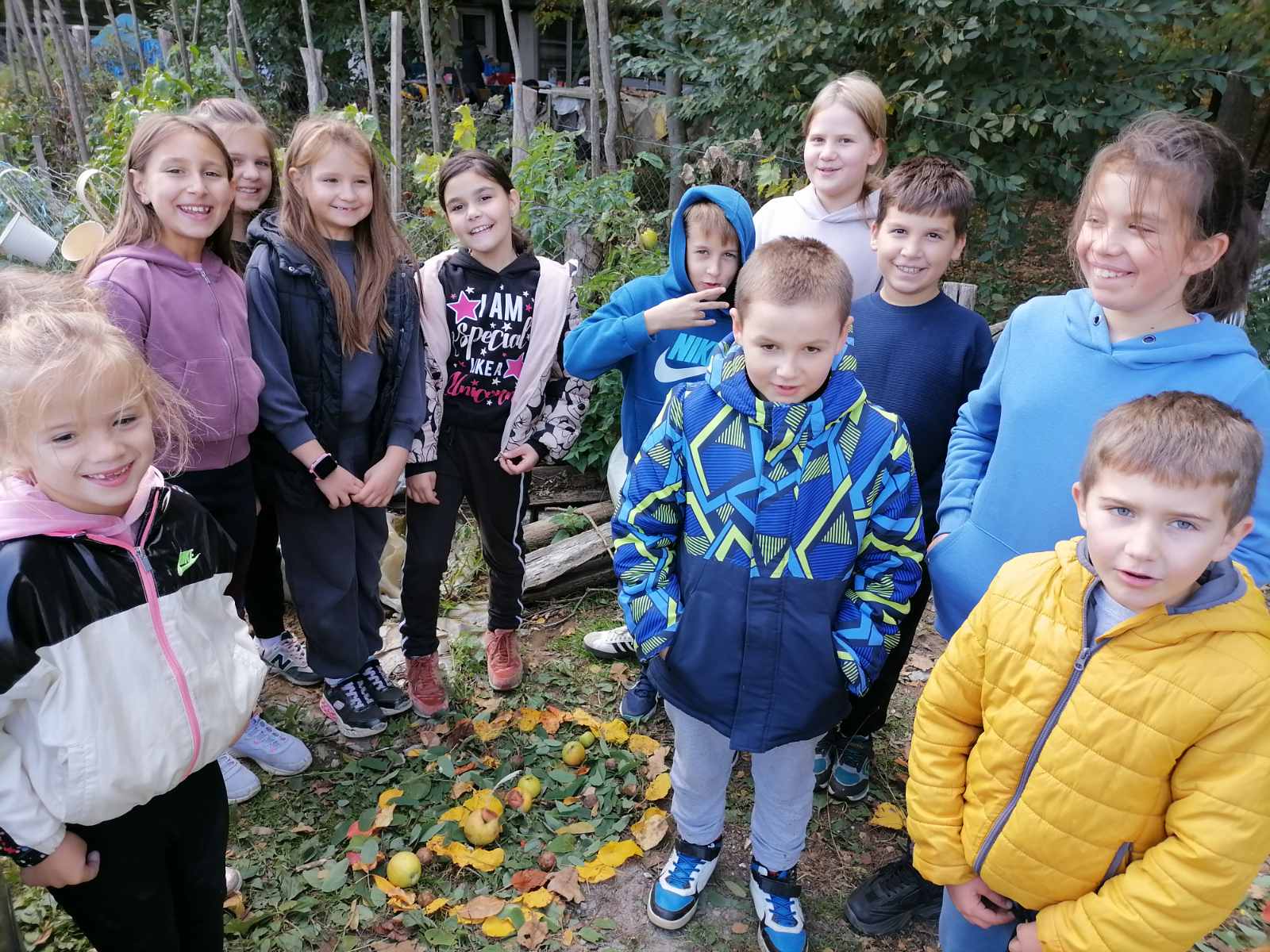 viber_slika_2025-10-20_15-30-29-123