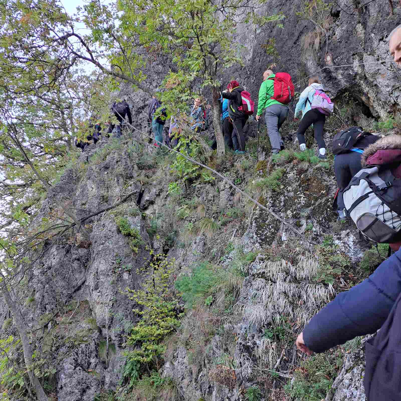 IMG-0a66ce8635d9ebe4ceb7a61583996ba8-V